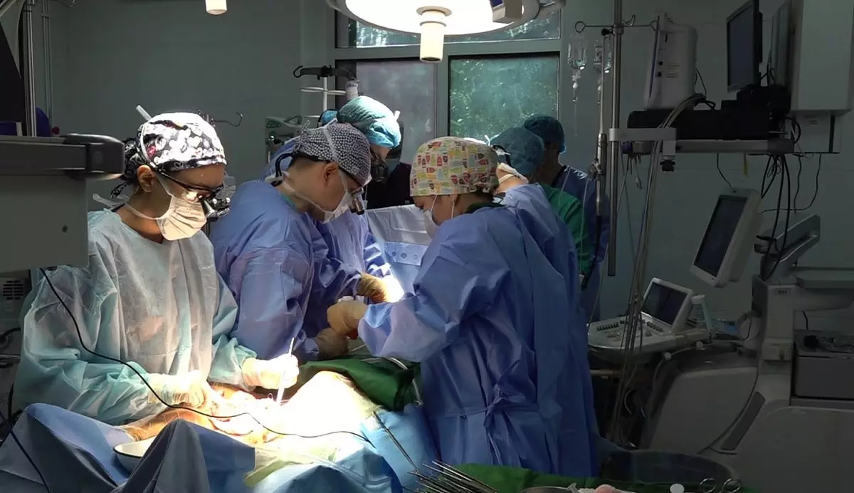 Казахстанские врачи участвуют в мастер-классах по реконструктивной хирургии клапанов сердца