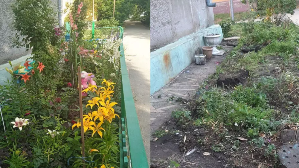 Женщину крупно оштрафовали за цветы на "государственной земле" в Рудном