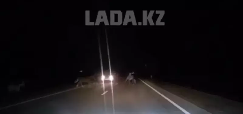 Ночной пегас: лошадь взлетела от удара машины (видео)