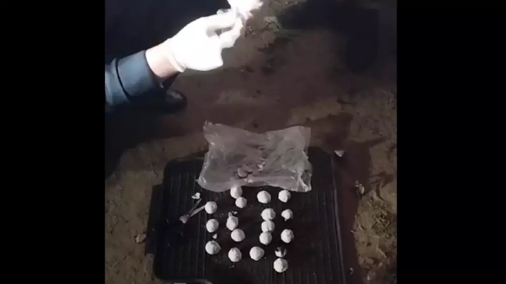 Житель Павлодара маскировал наркотики под курт