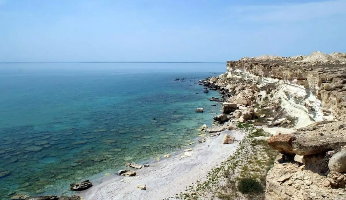 Научно-исследовательский институт Каспийского моря создадут в Казахстане