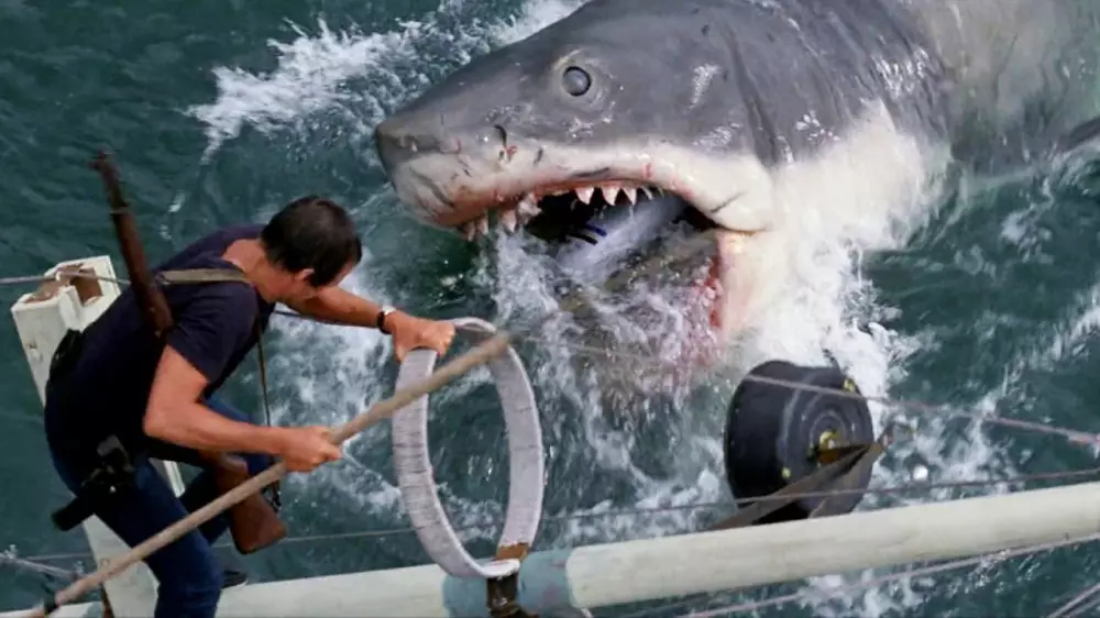 Акула-людоед напала на мужчин на месте съемок фильма "Челюсти"