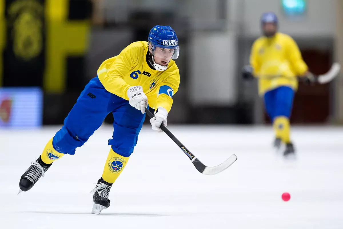 В Норвегии сообщили об отмене чемпионата мира по хоккею с мячом в 2024 году
