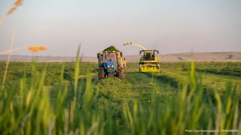 Казахстан празднует День работников сельского хозяйства