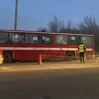 Водитель автобуса насмерть сбил пешехода в Усть-Каменогорске