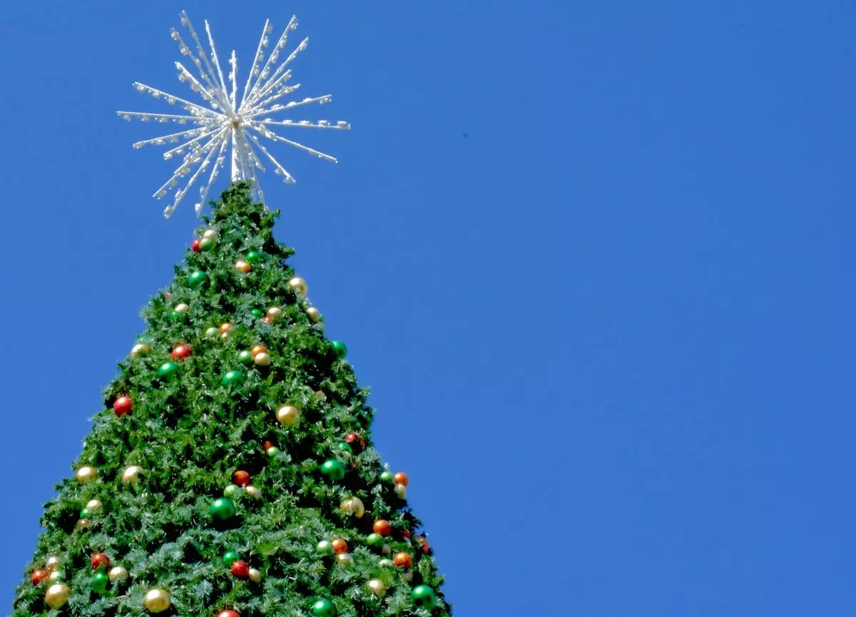  Сила ветра: главная рождественская елка упала в Вашингтоне