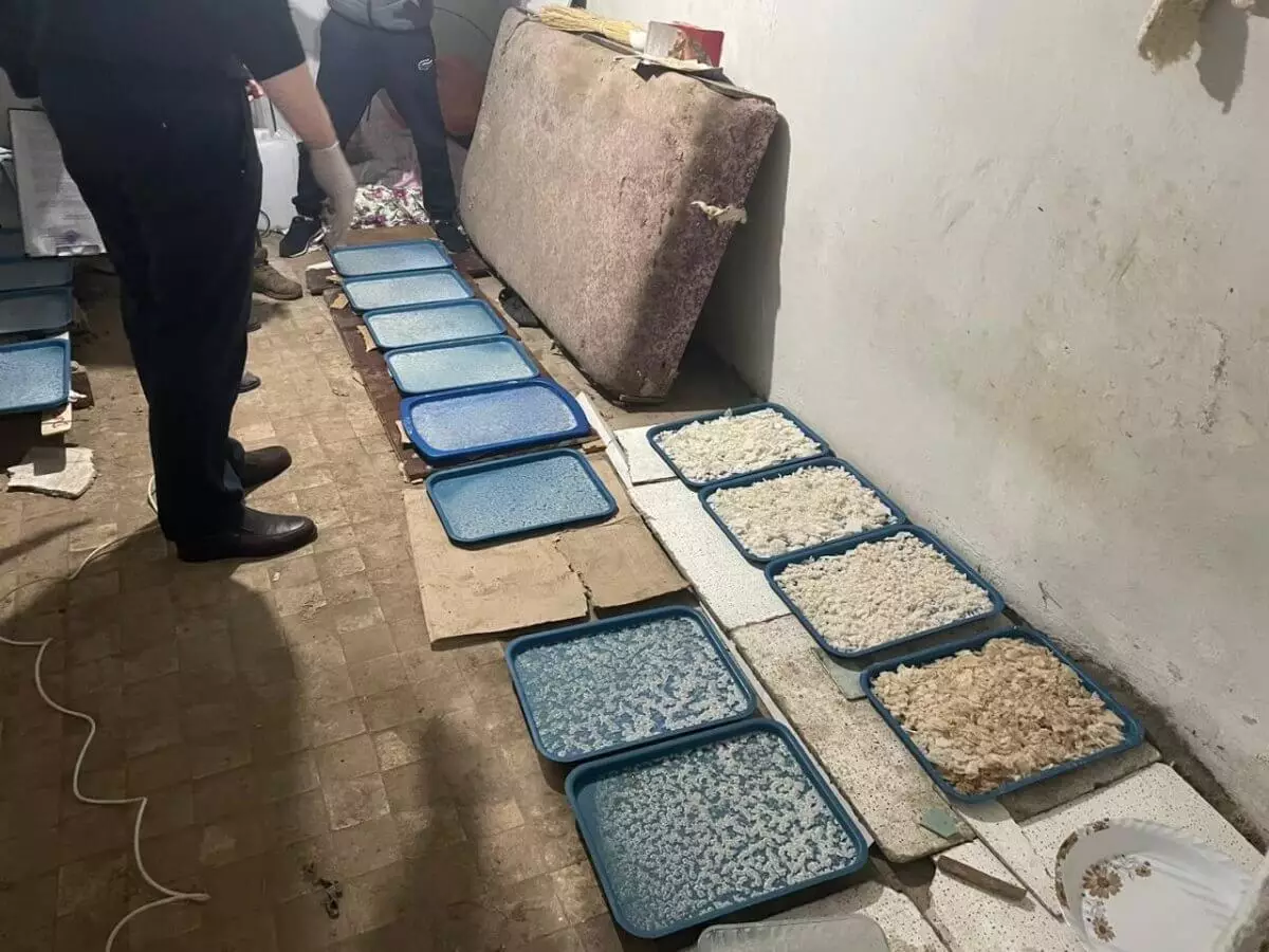 Более 150 кг наркотиков изъял КНБ из оборота за месяц