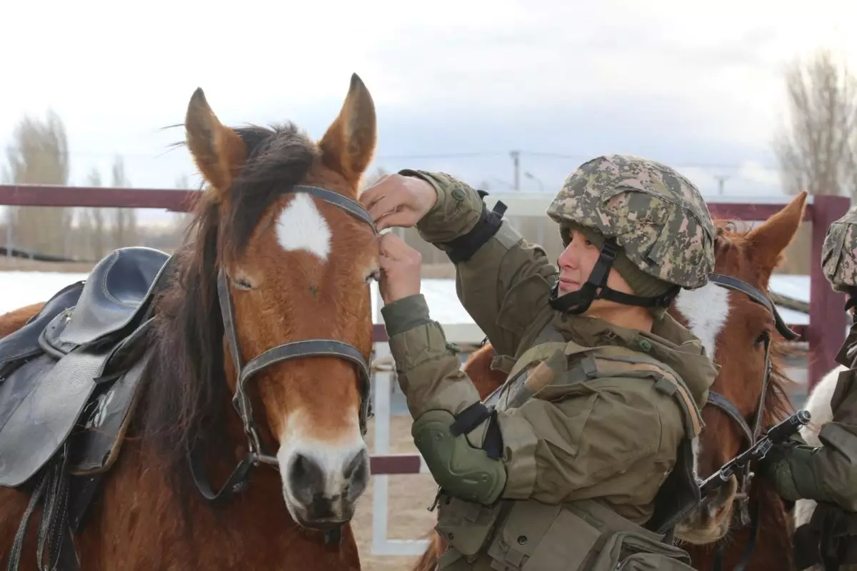 Боевой конь – опора воина: как служат в единственном в ВС РК горно-егерском полку?