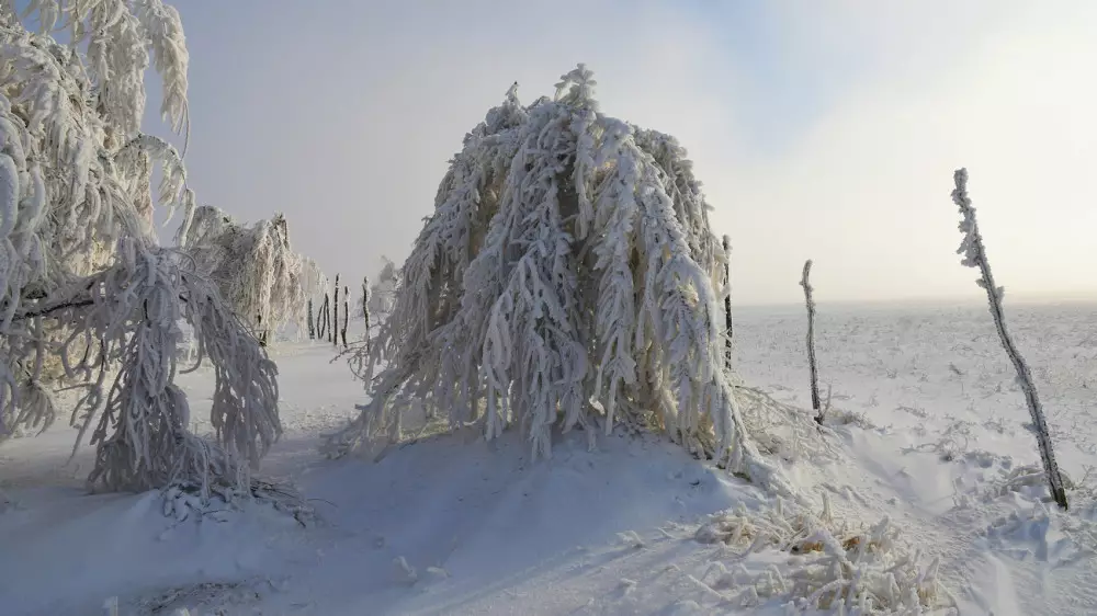 Метели и 27-градусные морозы. Какая погода ожидает казахстанцев 26 января