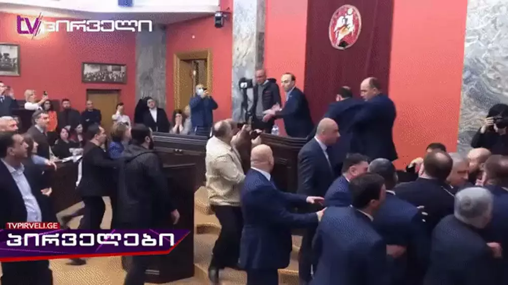 Грузия парламентінде депутаттар төбелес шығарды