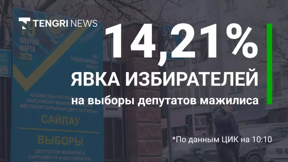 На выборах депутатов проголосовало 14,21 процента казахстанцев