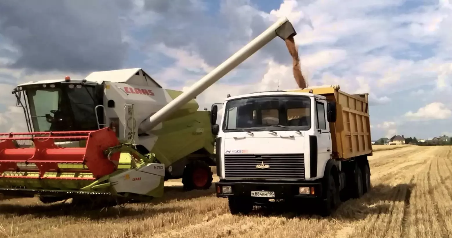 Власти хотят запретить ввозить пшеницу автомобильным транспортом в Казахстан