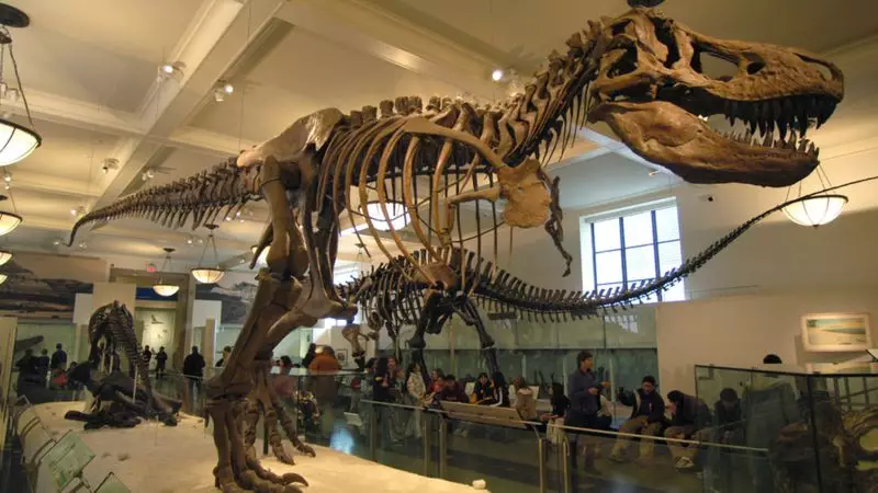 Скелет самого известного динозавра продали на аукционе за 5,3 млн долларов