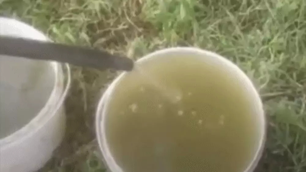 Сельчане в Атырауской области вынуждены пить тухлую воду