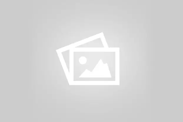 "Назарбаев бастап берді": Қоғам қайраткері тоқал алатындарға шүйлікті