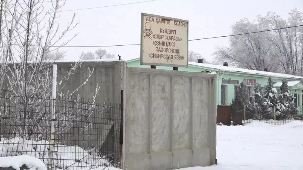 Алматы облысында ауыл тұрғындарын сібір жарасы алаңдатып отыр