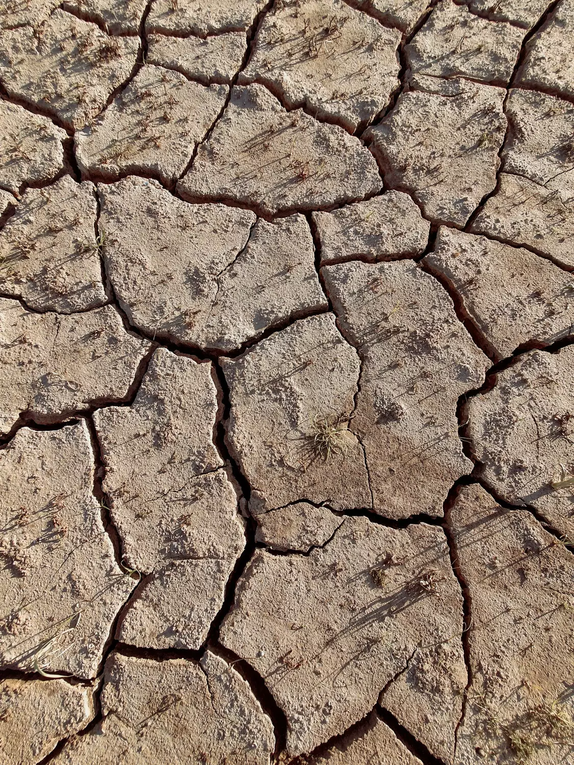 Dry spell: как выбраться из засухи в сексуальной жизни?