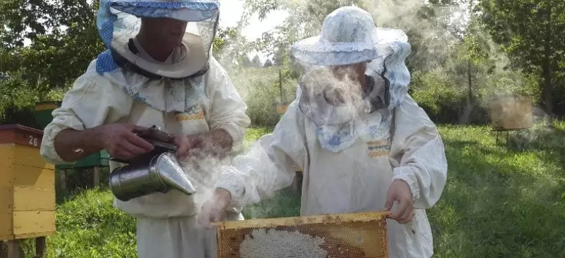Информационные технологии в продвижение пчеловодства внедряет педагог области Абай