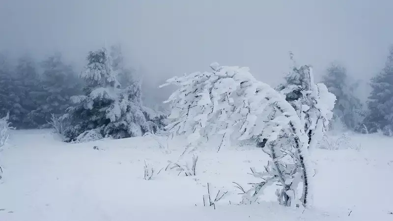 Снег с метелью и сильный ветер ожидаются в Казахстане 3 февраля
