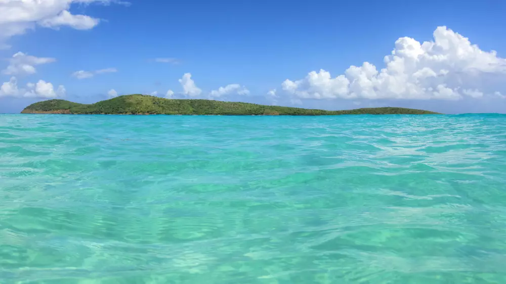 Соучредитель Google тайно купил остров в Пуэрто-Рико за 32 миллиона долларов