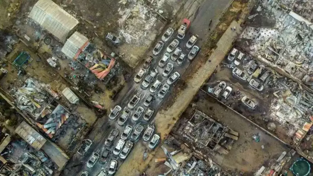 51 человек погиб в результате сильных лесных пожаров в Чили