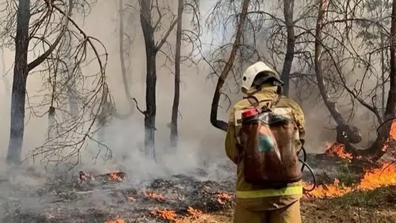 Новые правила пожарной безопасности в лесах утвердили в Казахстане