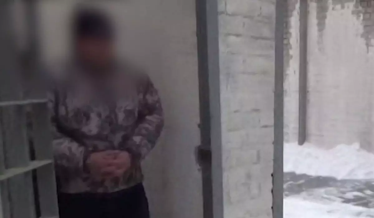 Руководителя «Ертіс орманы» задержали за взятки в Павлодарской области