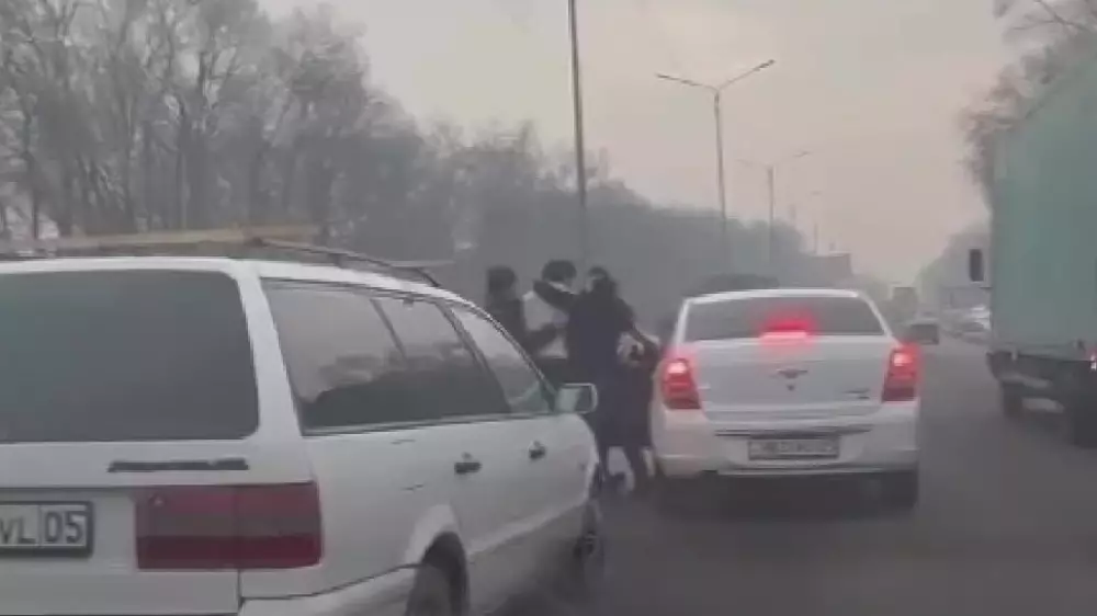 Устроившего драку на дороге водителя задержали в Алматинской области