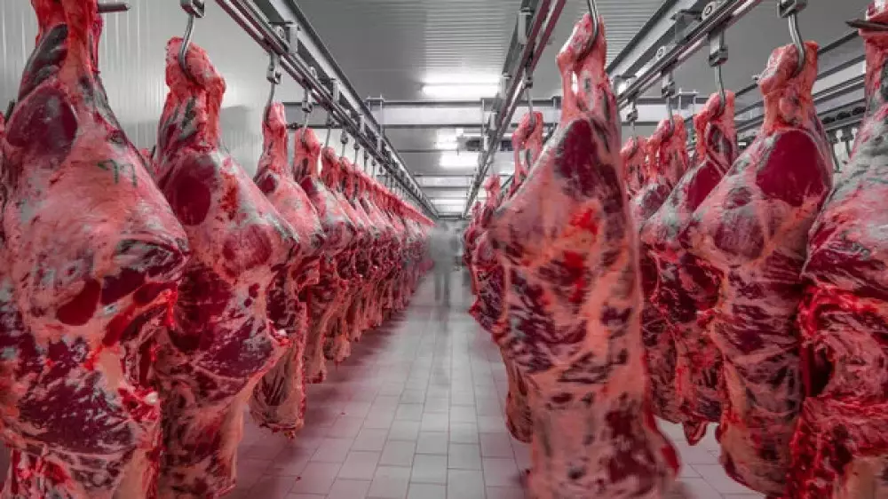 Китай снял ограничения на ввоз мяса из Казахстана