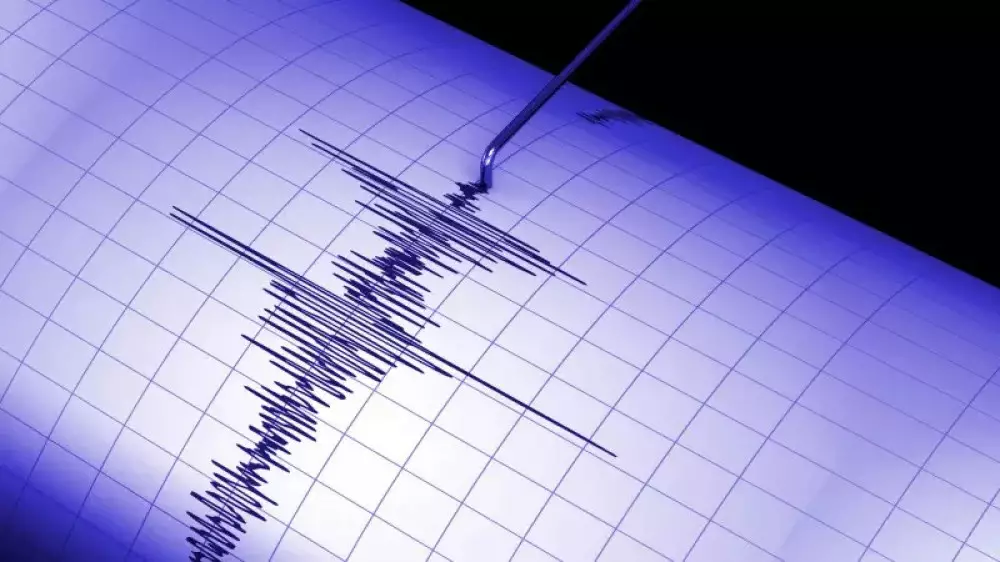 Казахстанские сейсмостанции зафиксировали землетрясение