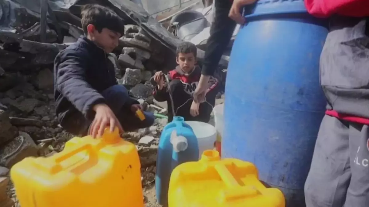 Газадағы гуманитарлық дағдарыс: Тұрғындар мал азығын жеп жатыр