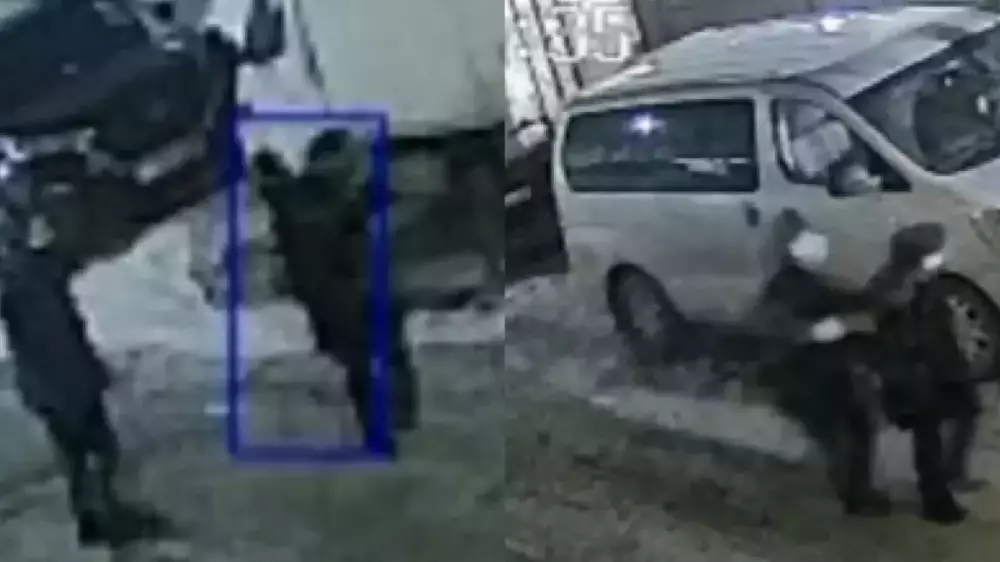 Напавшего на жительницу Астаны грабителя задержали в другой области: видео