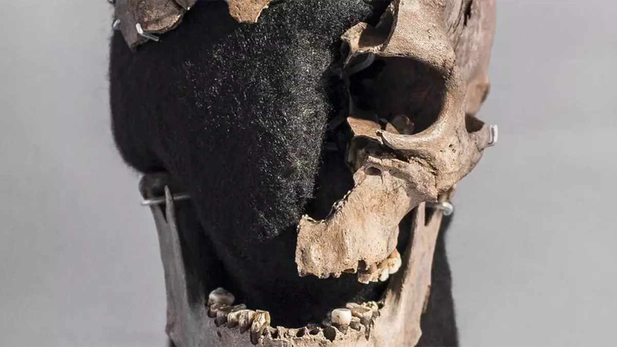 Новое исследование показало, что древний человек мигрировал в Данию, прежде чем его забили до смерти