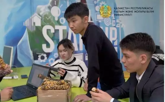 Казахстанский студент вывел новый сорт радужной кукурузы