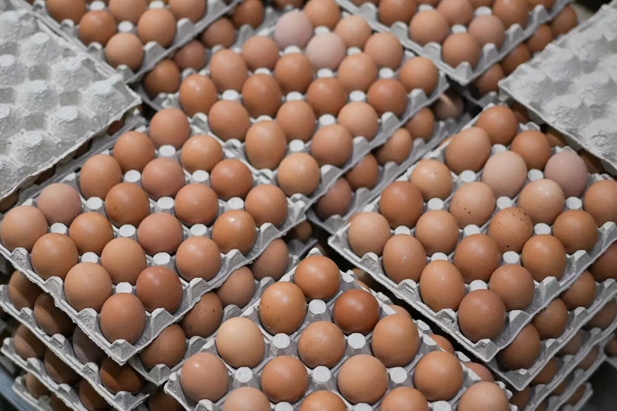 В Казахстан запретят ввозить на автомобилях куриные яйца из других стран