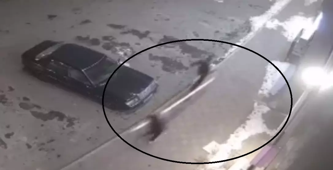 Вандалы в четвёртый раз сломали шлагбаум в ЖК «President» в Актау: инцидент попал на видео