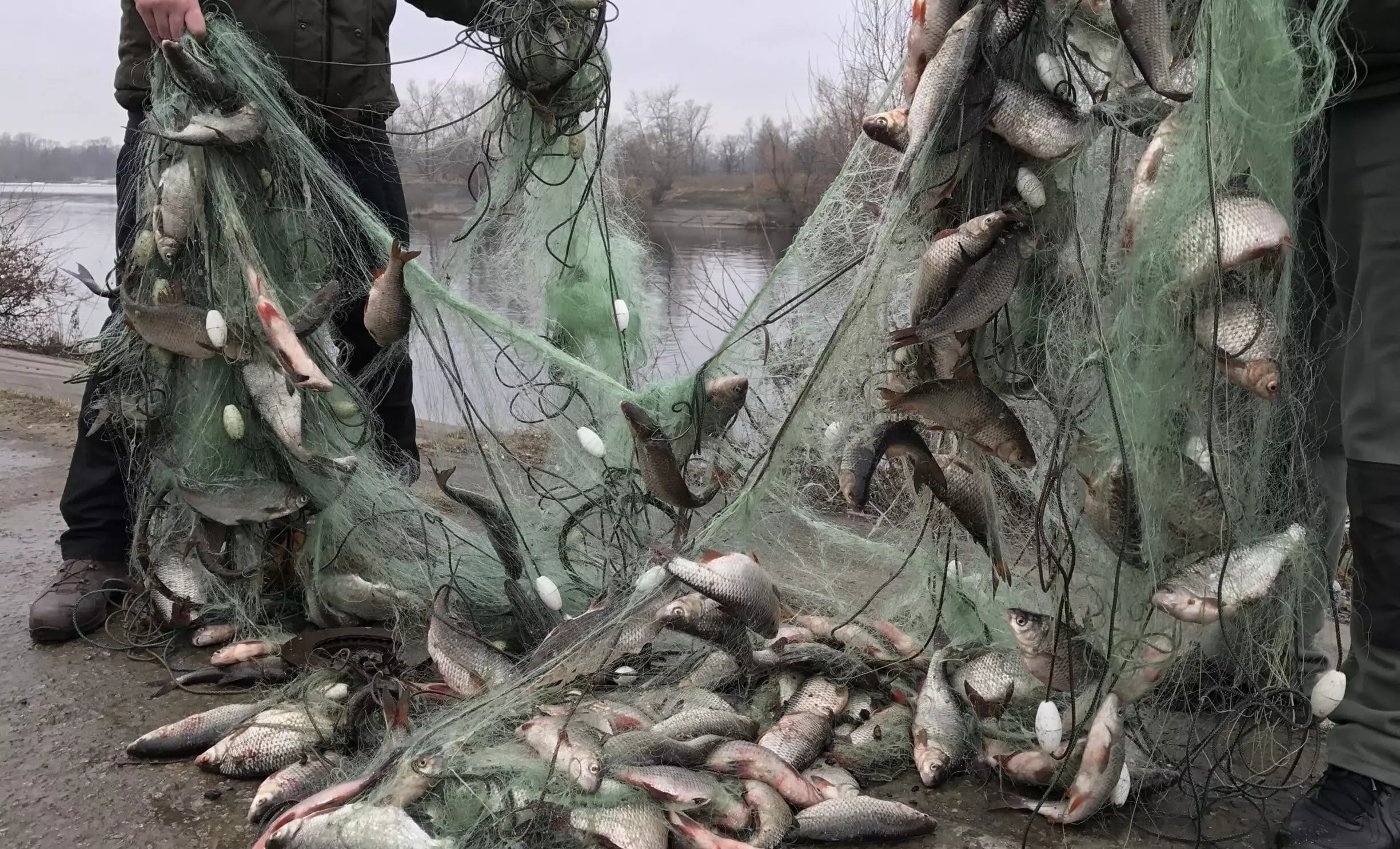 Вооруженную банду рыбаков-браконьеров задержали в Алматинской области