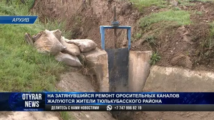 Жители Тюлькубасского района боятся засухи