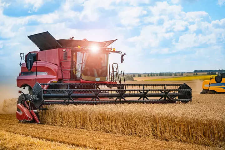 Азербайджан сократил импорт пшеницы из Казахстана на 47% за год