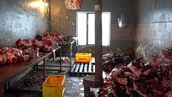 Крысы, грязь и лужи крови: антисанитарию на мясных складах выявили в Шымкенте