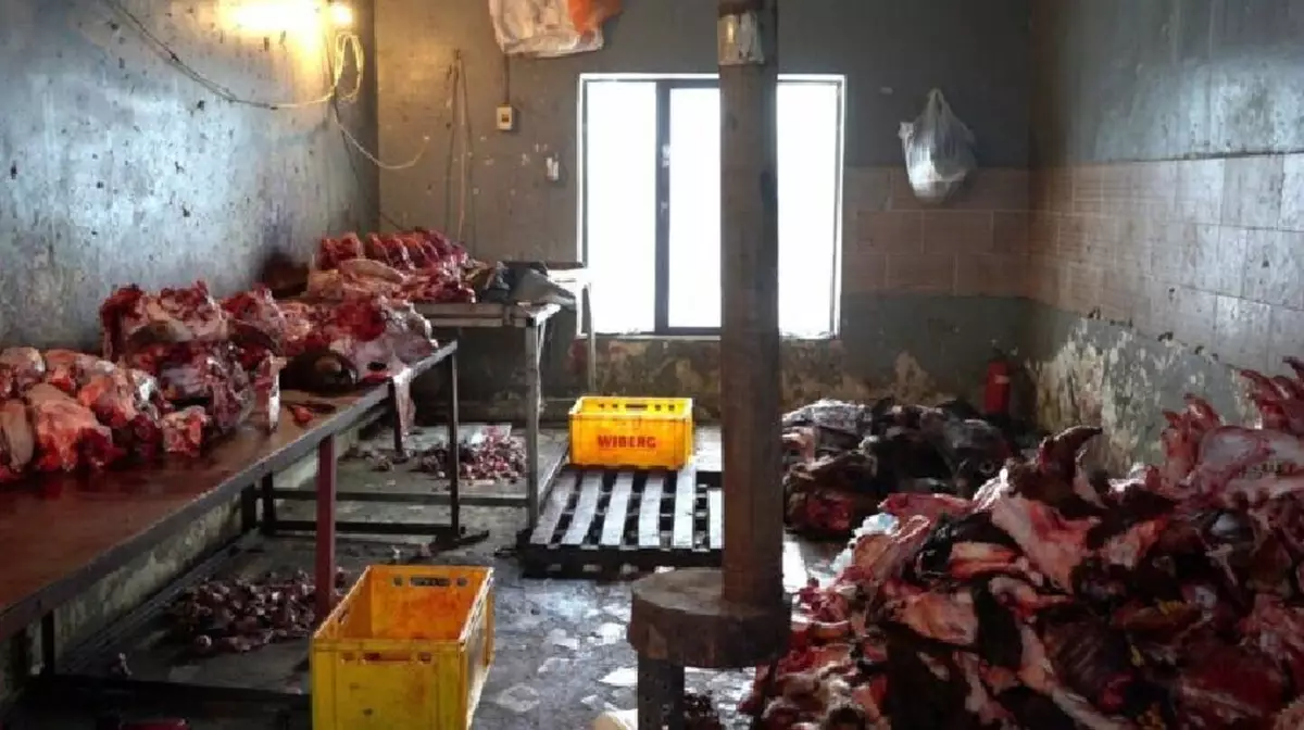 В Шымкенте среди крыс и грязи хранили мясо для реализации населению