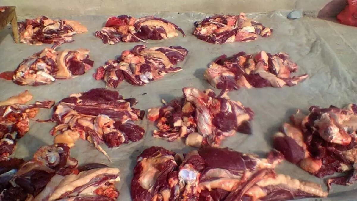 Жамбыл облысында қылмыстық топ ұрланған малды сойып, сатумен айналысқан
