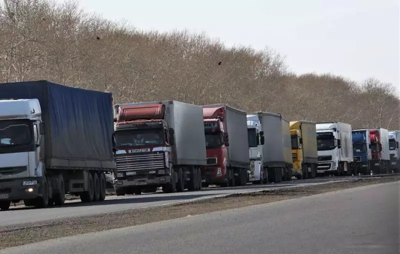 КНБ Казахстана заявил о скоплении авто на границах с Кыргызстаном, Узбекистаном и Россией
