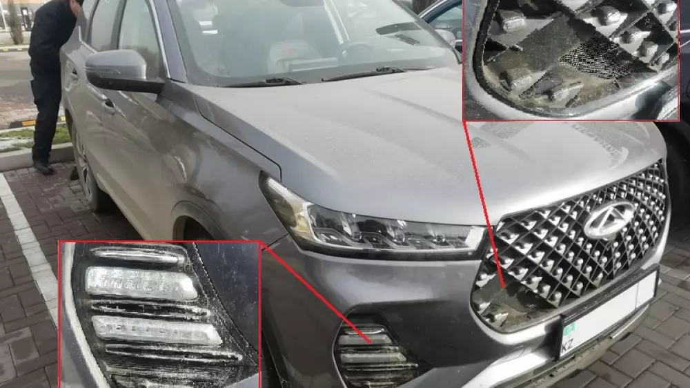 Стая бродячих собак погрызла авто более чем на полмиллиона тенге в Алматы