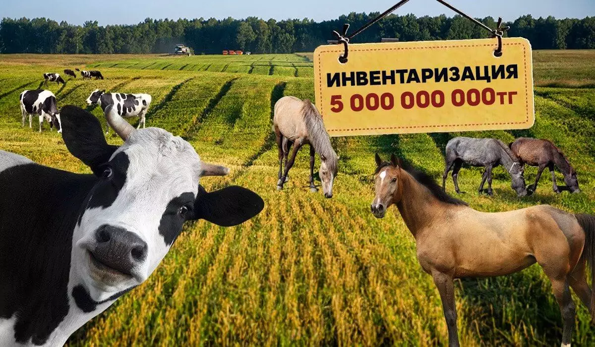 5 млрд – курам на смех: в Казахстане собираются провести перепись скота