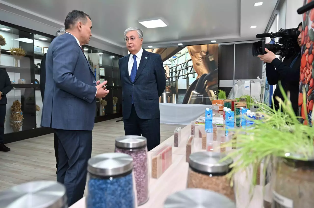 Новые гибриды подсолнуха и сорта сои показали Президенту на Востоке Казахстана