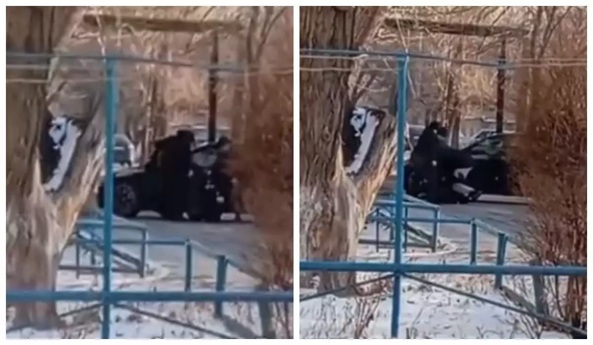 «Вытащили из машины»: жестокое избиение мужчины сняли на видео в Экибастузе