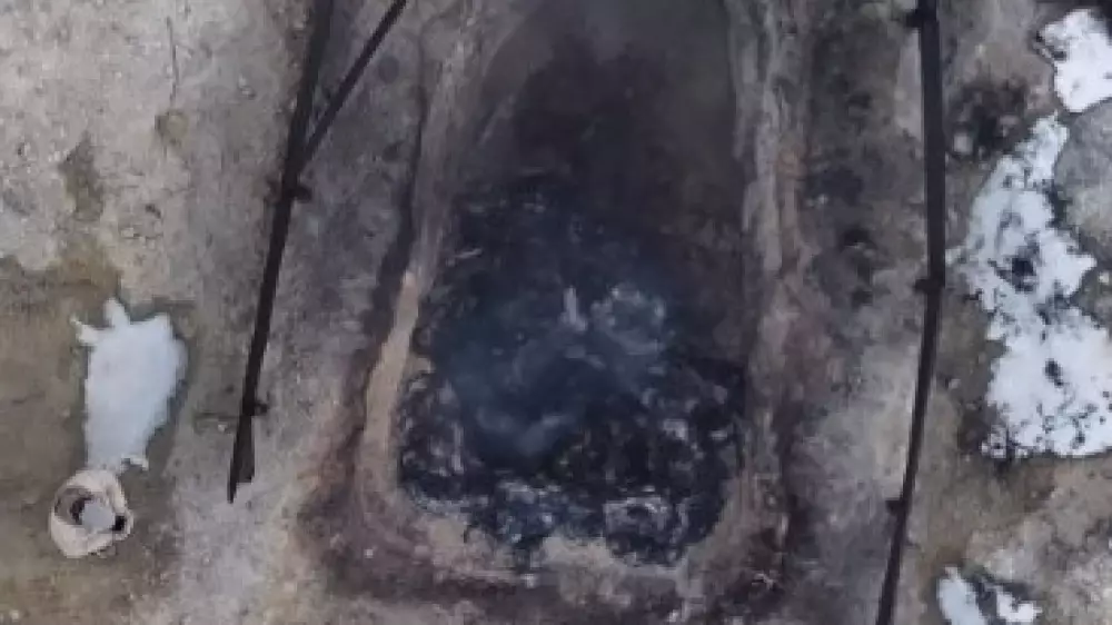 "Ассоциация с Холокостом": актауский блогер снял жуткое видео с сожженными животными