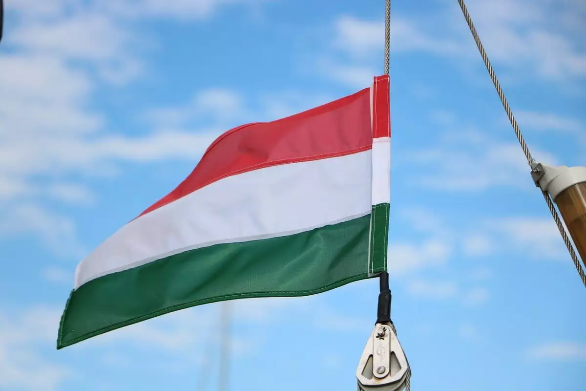 В Венгрии выбрали нового президента