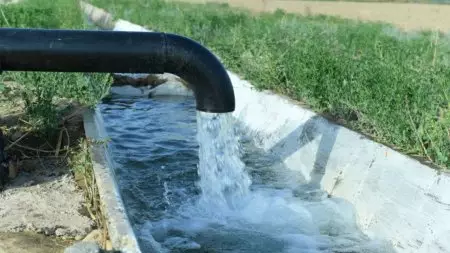 Узбекистан поможет Казахстану с водой: появились подробности